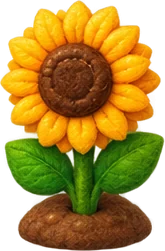 Sonnenblume